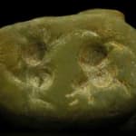 Thumbnail of additional image