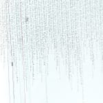 Angelica Chavarro, Landscapes of Thought I, 2024