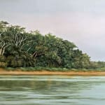 Daniela Mejia, Slow River, 2025