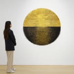 Yoan Capote, Purificación (Sutil), 2024