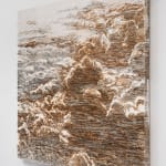 Yoan Capote, Purificación (Sutil), 2024