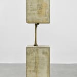 Yoan Capote, Purificación (Sutil), 2024