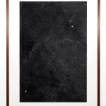 Thomas Ruff, Porträt (T. Bernstein), 1988
