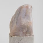 Camile Sproesser, A noite [The Night], 2025