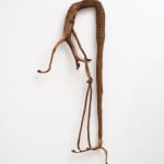 Advânio Lessa, Sem título (da série Vida) [Untitled (from the Life series)], 2013-2023
