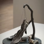 Sara Möller, MOLLUSKS, 2020