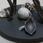 Sara Möller, MOLLUSKS, 2020