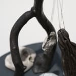 Sara Möller, MOLLUSKS, 2020