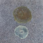 Ivar Lövheim, Moon glow, 2025