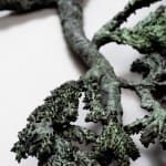 Ellen Ehk, The Limb, 2023