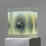 Hilda Hellström_The pineal gland_2020_1