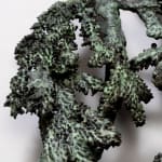 Ellen Ehk, The Limb, 2023