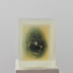 Hilda Hellström_The pineal gland_2020_4
