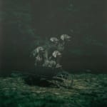 William Wegman, Barrelling Barrow, 1990