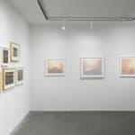 Joni Sternbach, 09.02.19 #7 Shane + Tyler, 2009