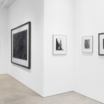 Imogen Cunningham, Agave Design 1, 1920