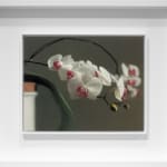 Wayne Thiebaud, Black Suckers, from Seven Still Lifes and a Silver Landscape, 1971