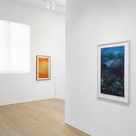 Darren Waterston, Radiant Landscape, 2024