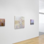 Darren Waterston, Field 4, 2024