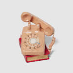 Stephanie H. Shih, White Whale, 2023