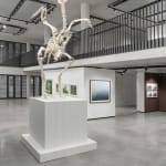 Tamiko Thiel, Plastoscene Dreams 5a, 2024