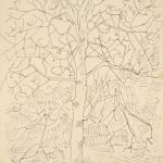 Kimber Smith, Untitled, c. 1973
