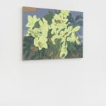 Eric Dever, Cyclamen II, 2024