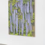 Eric Dever, Cyclamen II, 2024