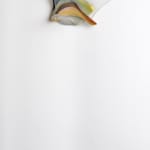 Lilian Thomas Burwell, Cycloid, 1972