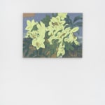 Eric Dever, Cyclamen II, 2024