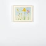 Elizabeth Osborne, Dana Island Series, 1989