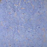 Frank Wimberley, Somehow, Soft Rain, 1995