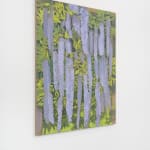 Eric Dever, Cyclamen II, 2024