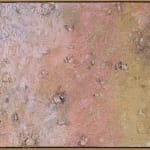 Stanley Boxer, Devinecaprice, 1996