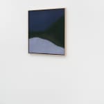 Susan Vecsey, Untitled (Red Orange), 2014