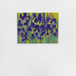 Eric Dever, Cyclamen II, 2024
