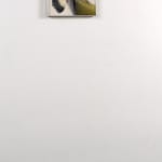 Paul Jenkins, Phenomena Lasting Sun for a Moment, 1987