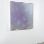Mike Solomon, Shadow Falls, 2024