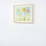 Elizabeth Osborne, Dana Island Series, 1989
