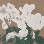 Eric Dever, Cyclamen II, 2024