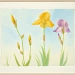 Elizabeth Osborne, Dana Island Series, 1989