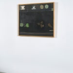 Janice Biala, Nature Morte Rose, Rouge et Noire, 1977