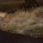 Stephanie Tabram, Wattle & Tarnished Silver, 2022