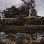 Stephanie Tabram, Wattle & Tarnished Silver, 2022