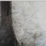 Lucinda Bresnehan, Wellspring, 2025
