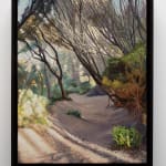David Keeling, Sunset, Richardson's Beach, 2023