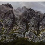 Stephanie Tabram, Wattle & Tarnished Silver, 2022