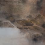 Lucinda Bresnehan, Wellspring, 2025