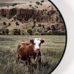 Stephanie Tabram, Wattle & Tarnished Silver, 2022