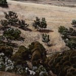 Stephanie Tabram, Wattle & Tarnished Silver, 2022